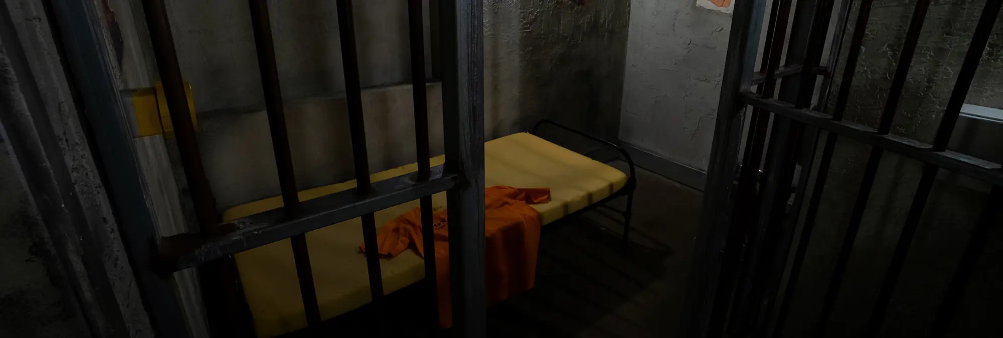 LIFE SENTENCE